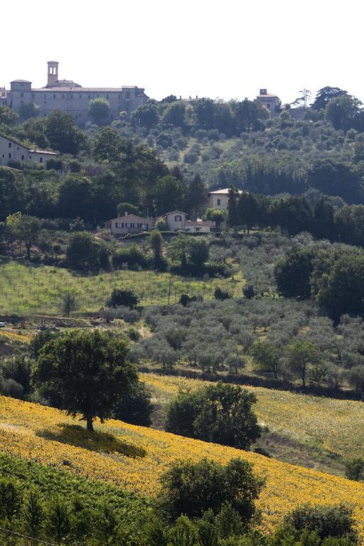 Agriturismo Il Girasole Montefalco Luaran gambar
