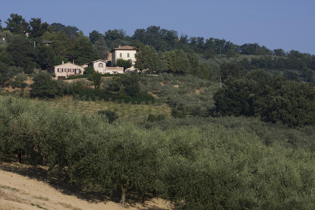 Agriturismo Il Girasole Montefalco Luaran gambar