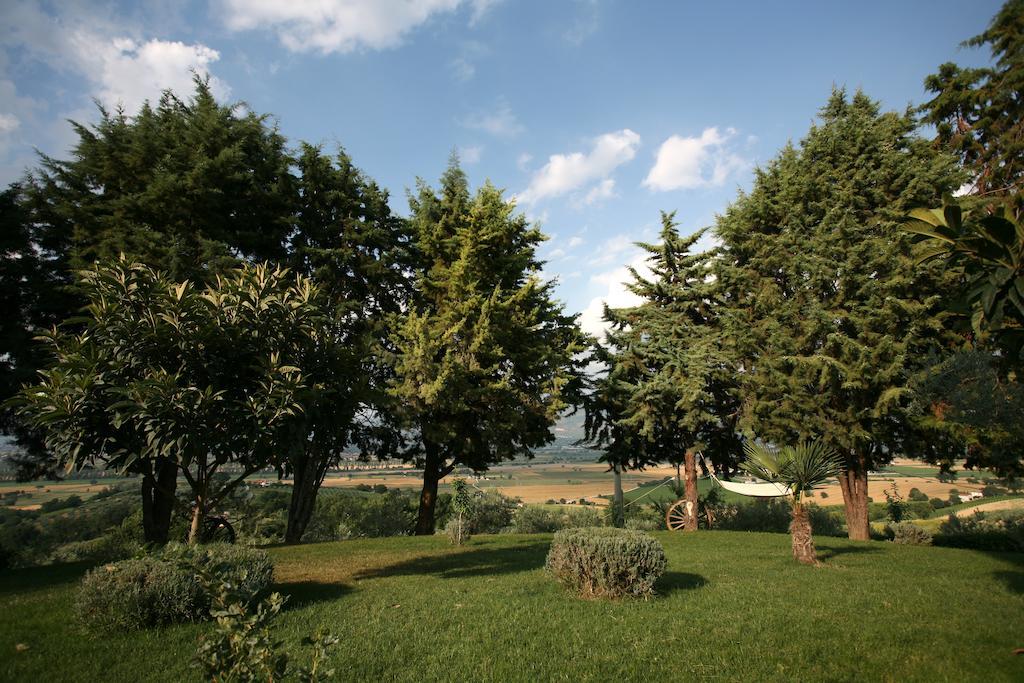 Agriturismo Il Girasole Montefalco Bilik gambar