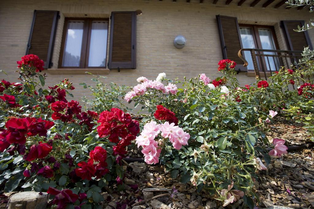 Agriturismo Il Girasole Montefalco Bilik gambar