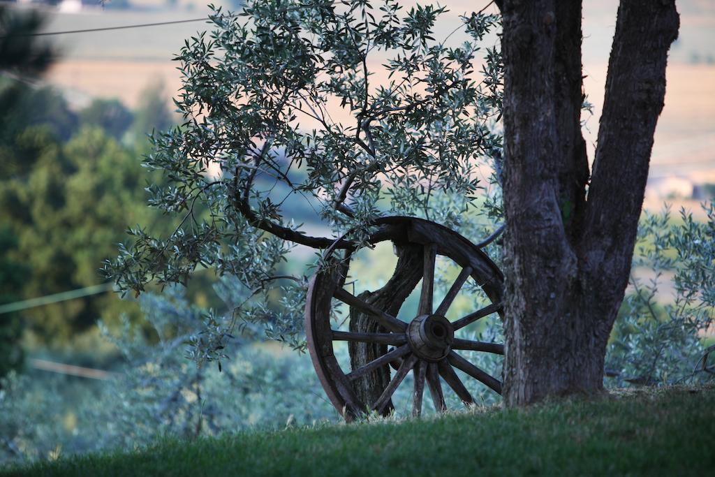 Agriturismo Il Girasole Montefalco Luaran gambar