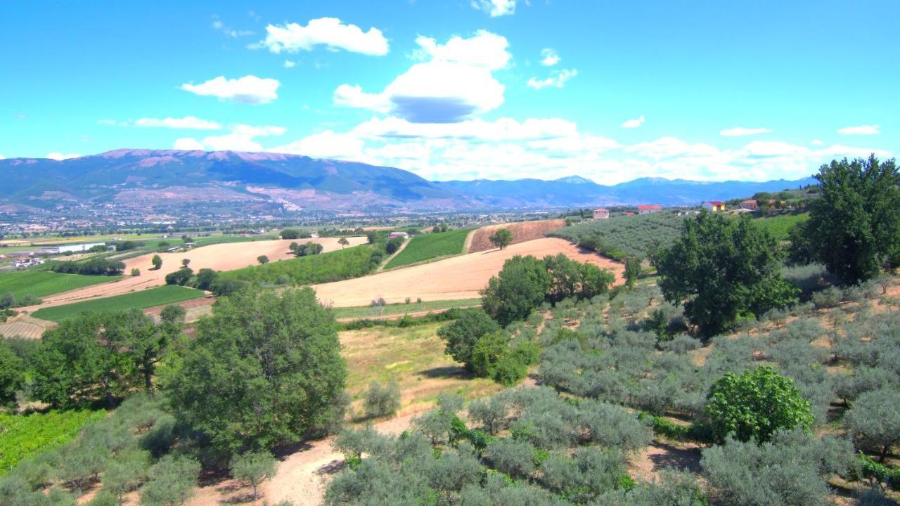 Agriturismo Il Girasole Montefalco Luaran gambar